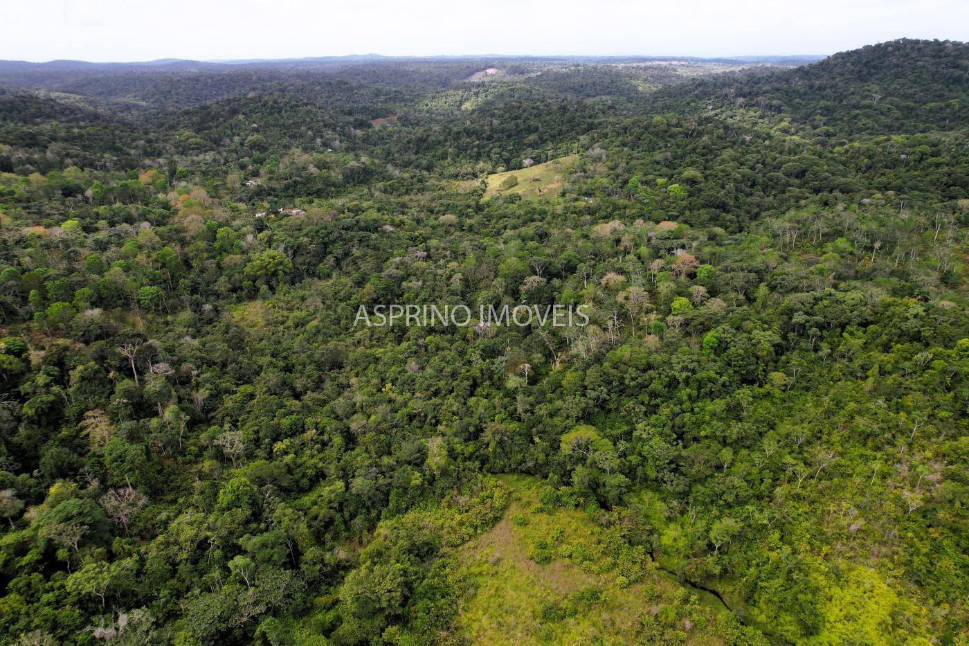 Fazenda à venda, 21m² - Foto 43