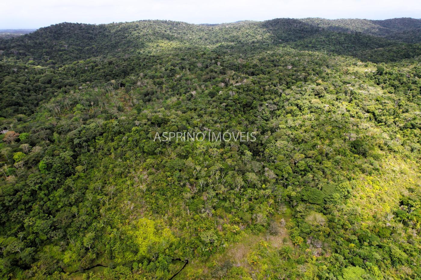Fazenda à venda, 21m² - Foto 42