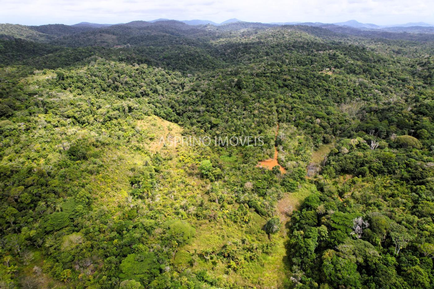 Fazenda à venda, 21m² - Foto 44