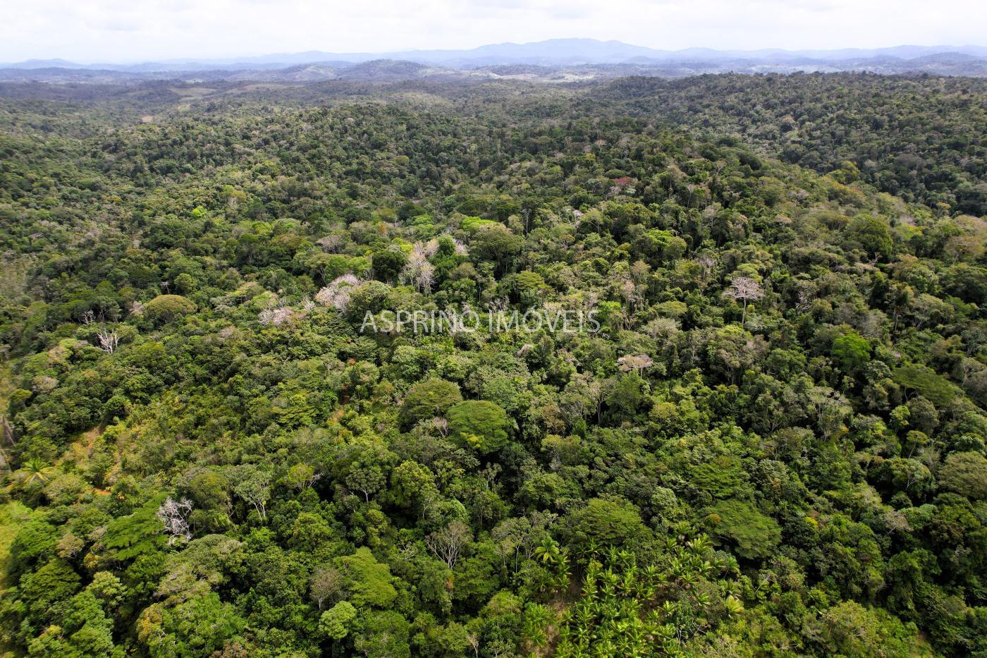 Fazenda à venda, 21m² - Foto 48