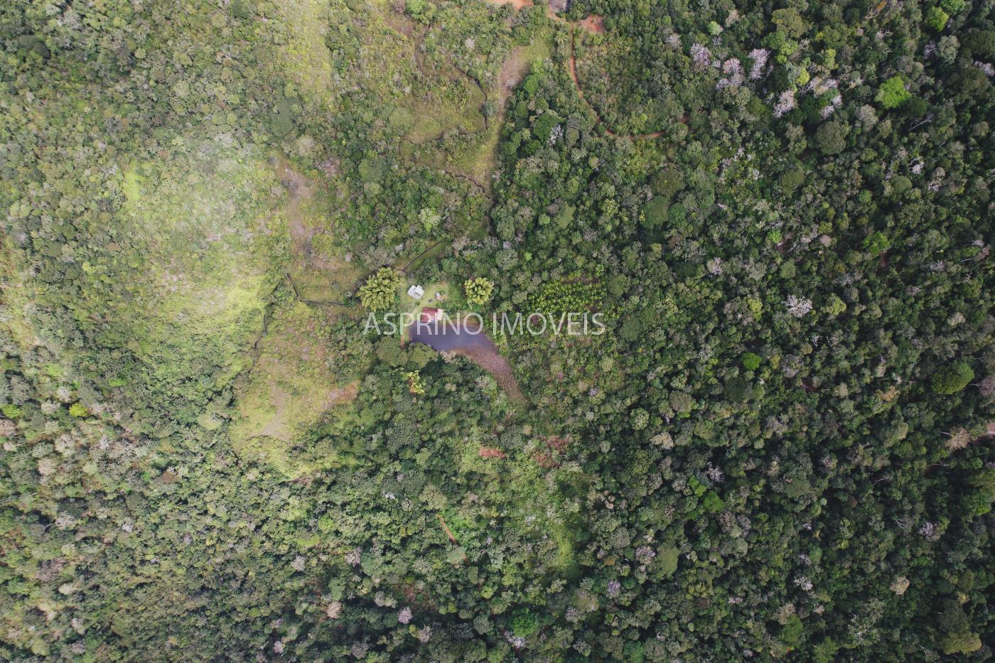Fazenda à venda, 21m² - Foto 23