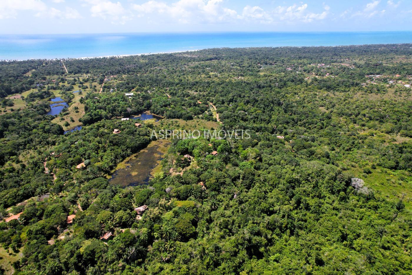 Sítio à venda, 5750m² - Foto 7