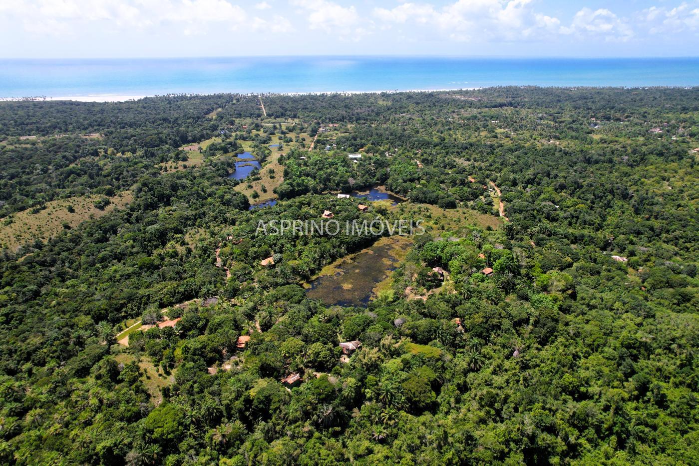 Sítio à venda, 5750m² - Foto 8