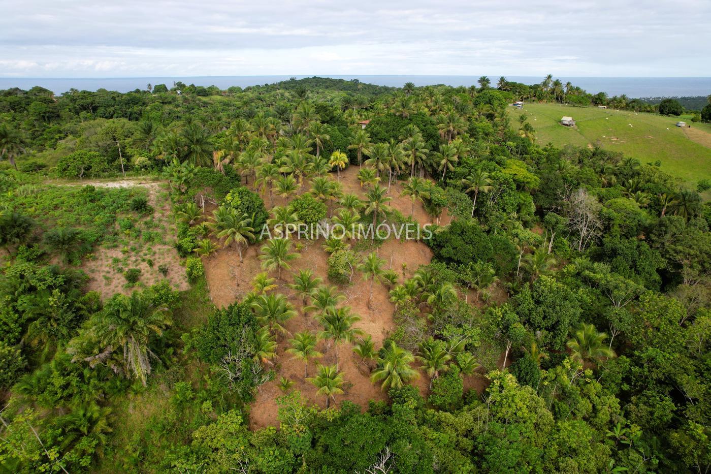 Sítio à venda com 2 quartos, 20000m² - Foto 9