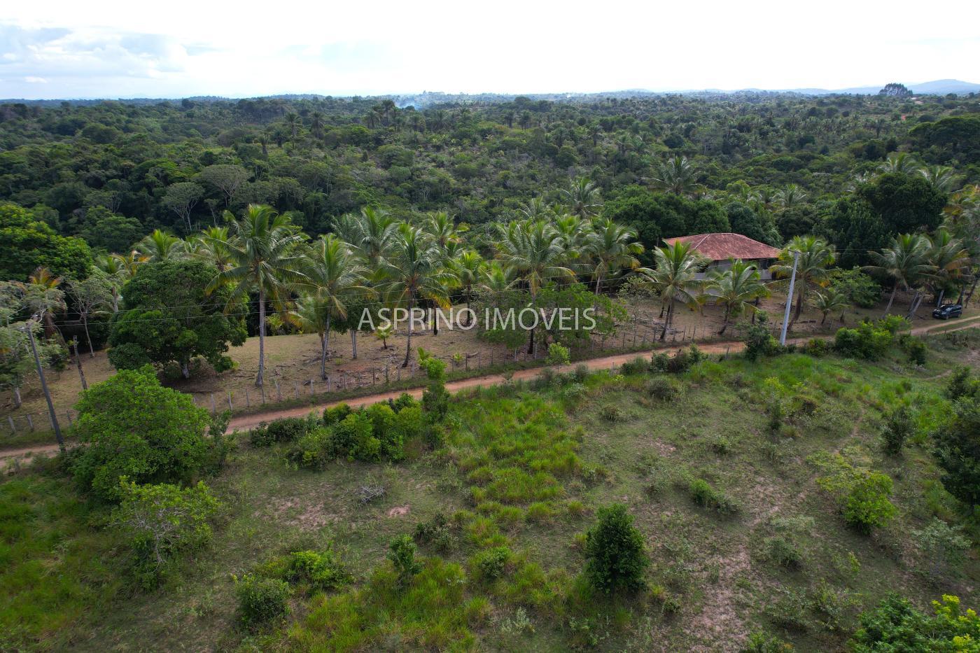 Sítio à venda com 2 quartos, 20000m² - Foto 7