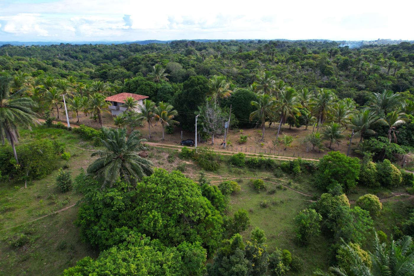 Sítio à venda com 2 quartos, 20000m² - Foto 8
