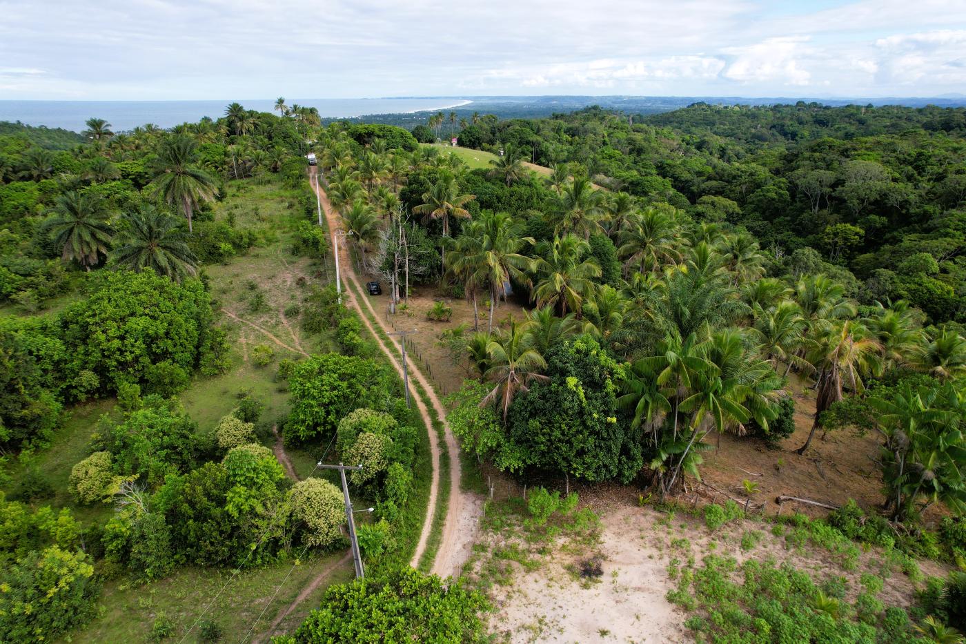 Sítio à venda com 2 quartos, 20000m² - Foto 10