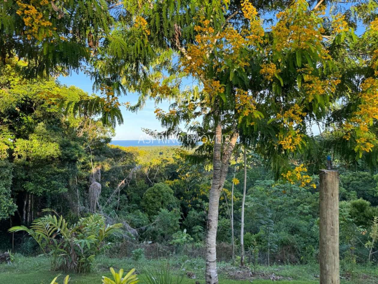 Sítio, 1 quarto, 10 hectares - Foto 8