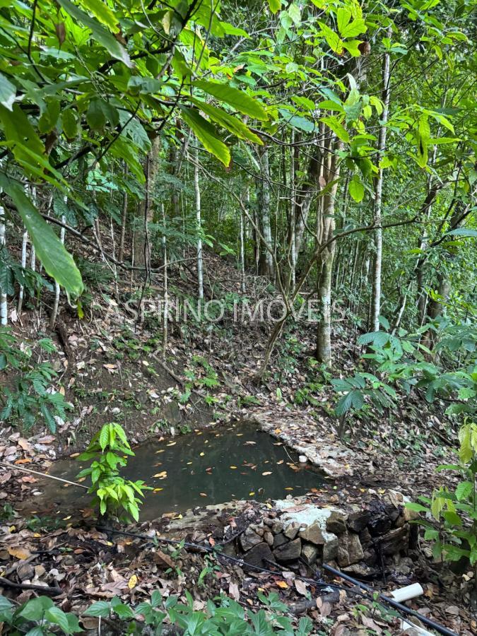 Sítio, 1 quarto, 10 hectares - Foto 12