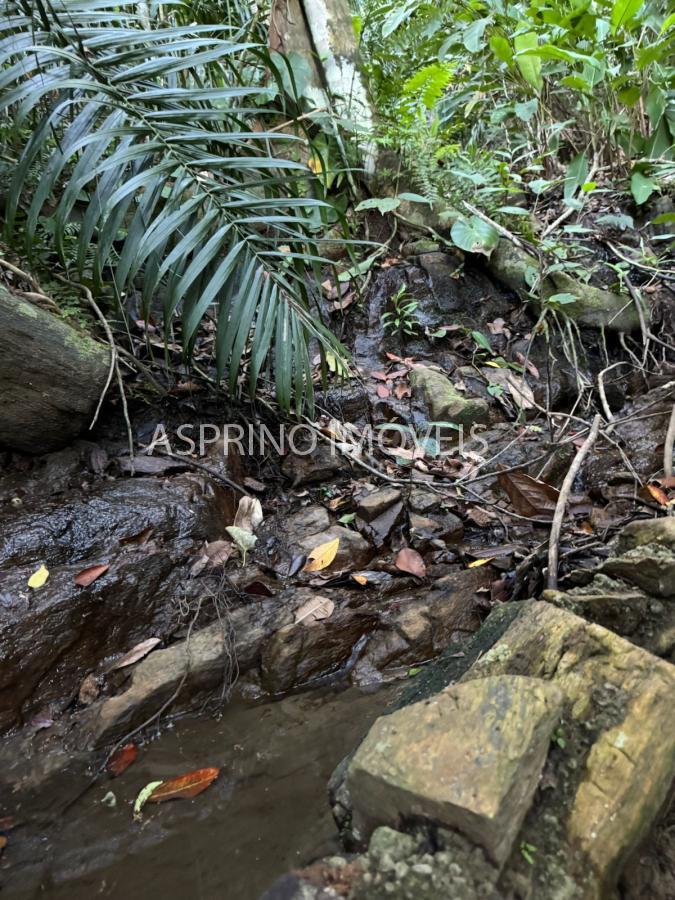 Sítio, 1 quarto, 10 hectares - Foto 11