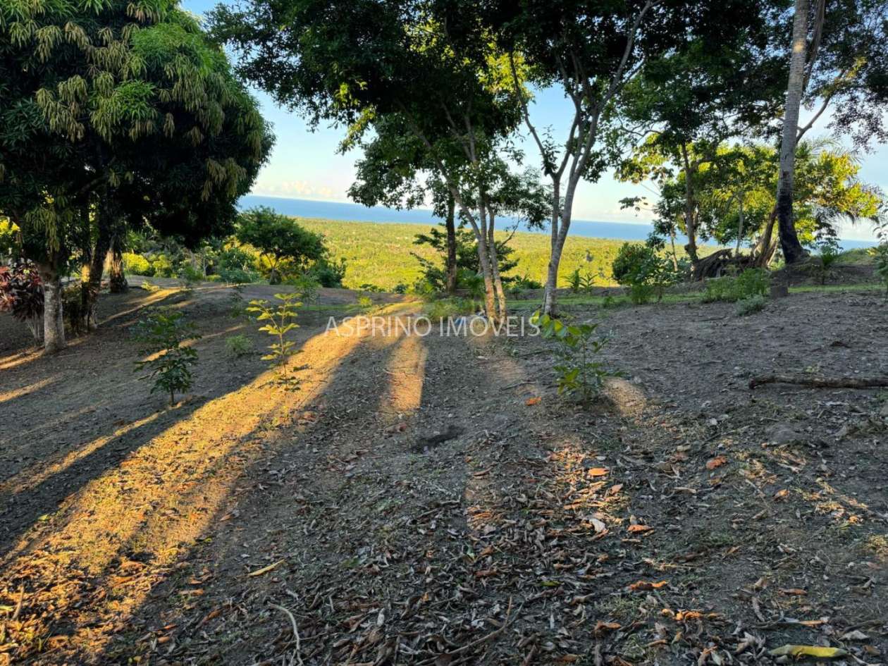 Sítio, 1 quarto, 10 hectares - Foto 7