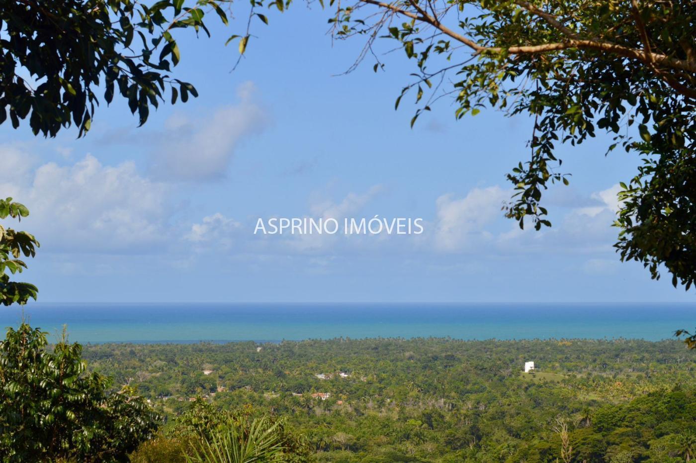 Sítio, 1 quarto, 10 hectares - Foto 13