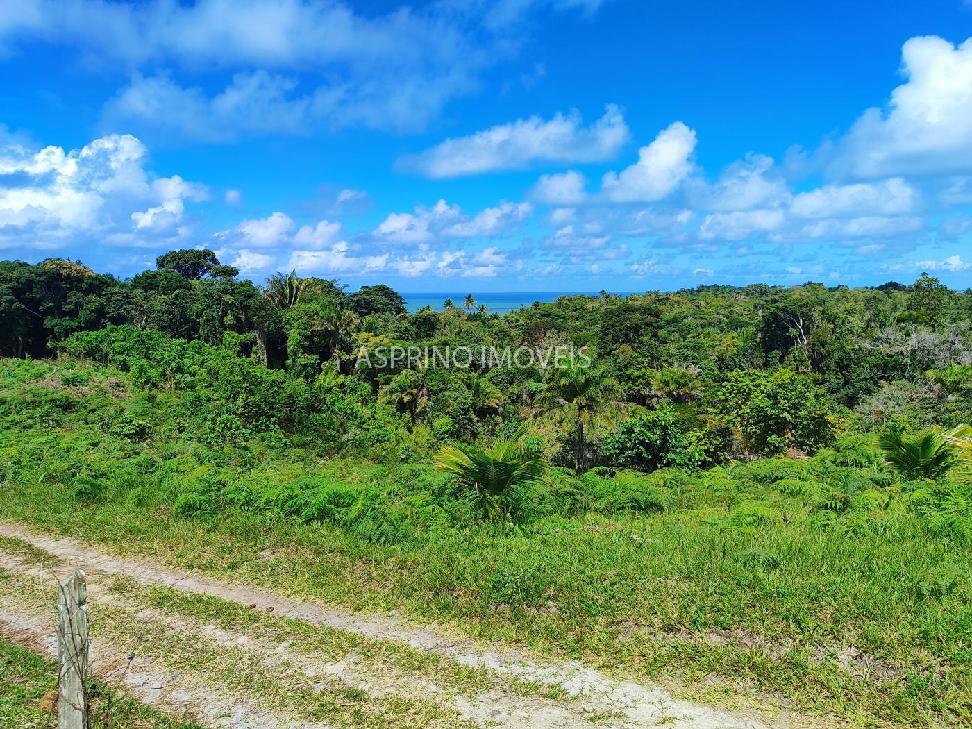 Fazenda à venda, 19m² - Foto 16