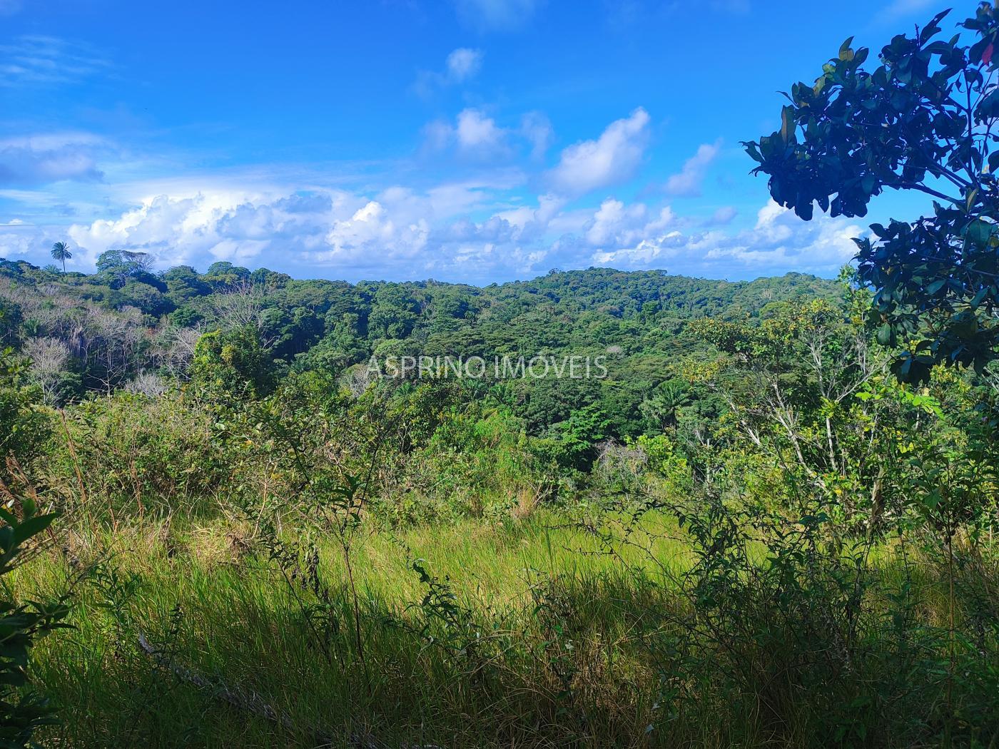 Fazenda à venda, 19m² - Foto 6