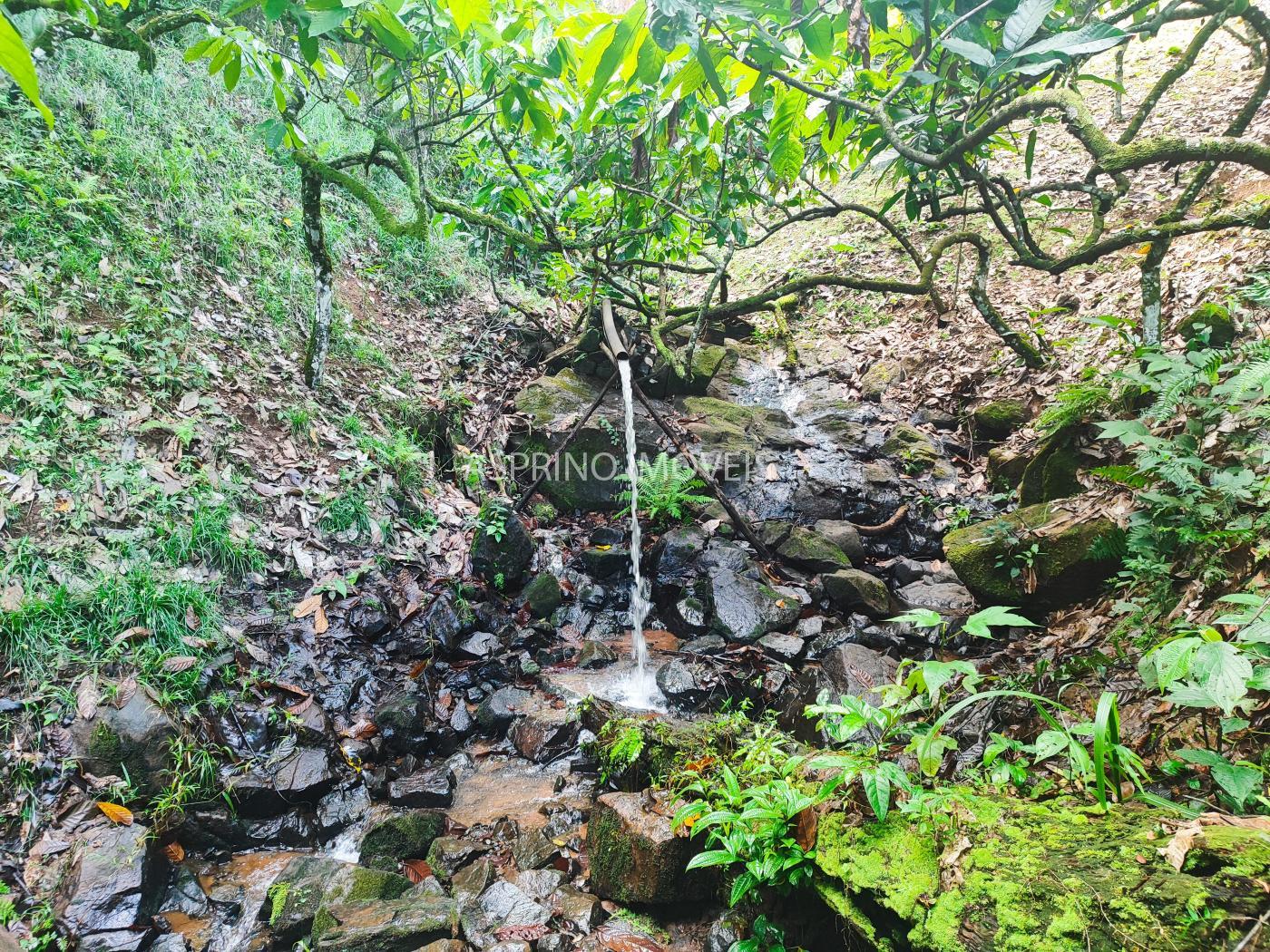 Fazenda à venda, 19m² - Foto 13