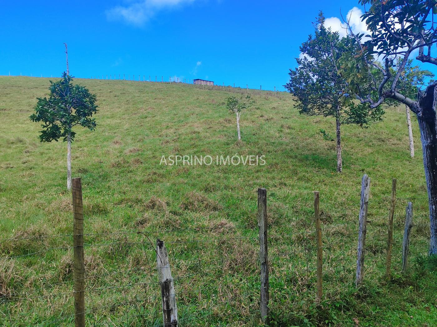 Fazenda à venda, 19m² - Foto 8