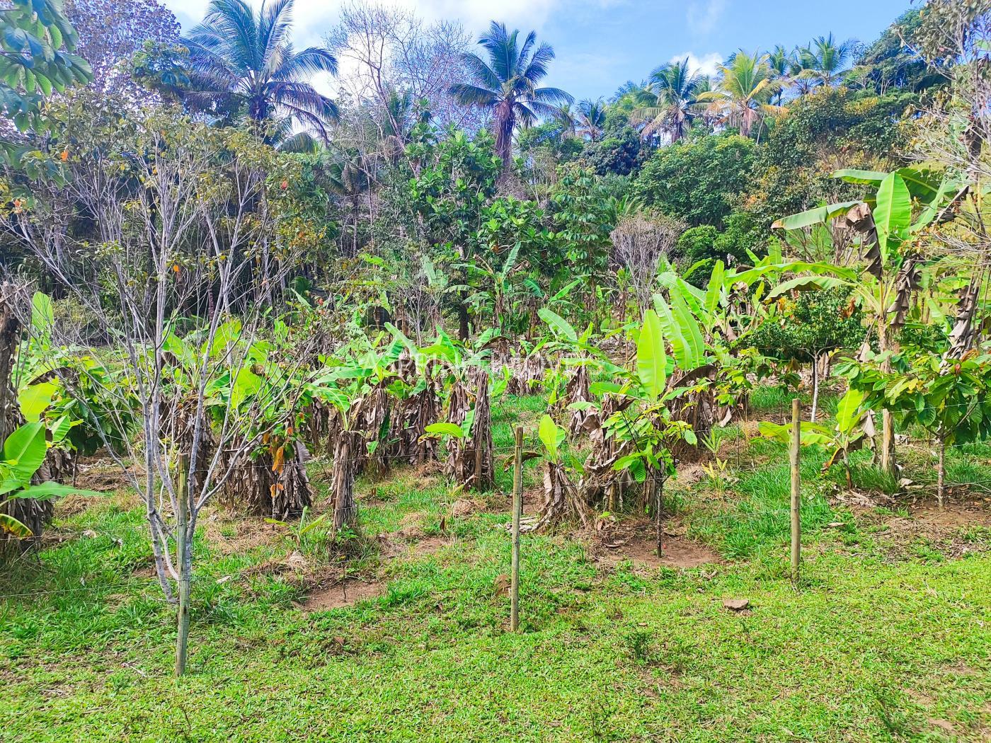 Fazenda à venda, 19m² - Foto 15