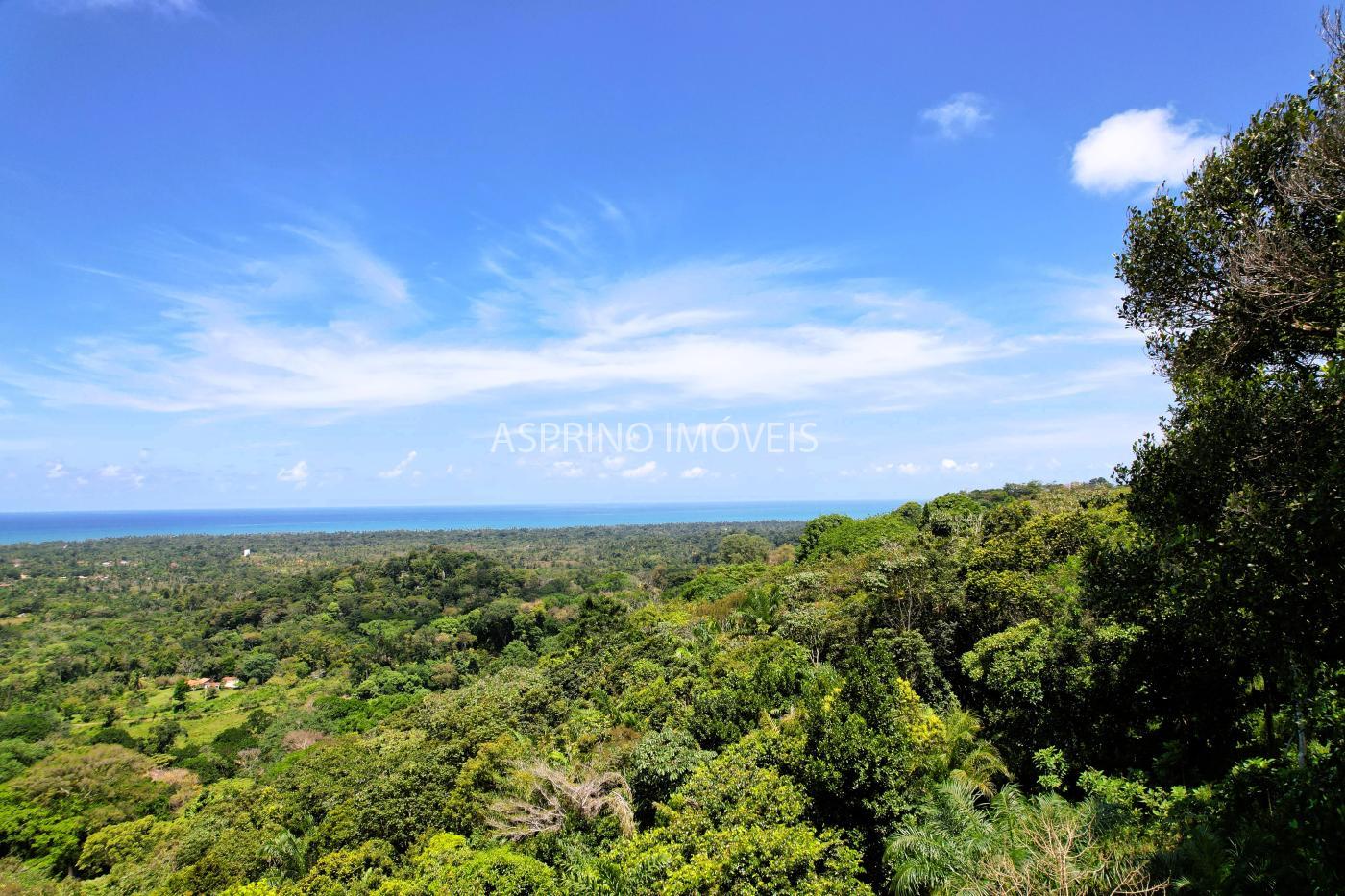 Sítio, 1 quarto, 10 hectares - Foto 15