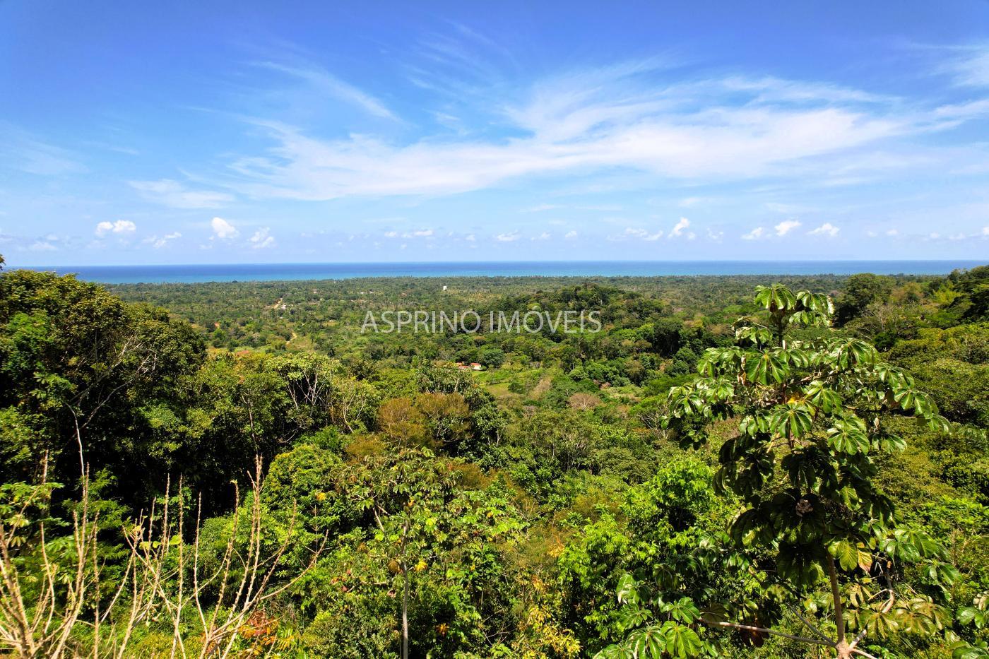 Sítio, 1 quarto, 10 hectares - Foto 16