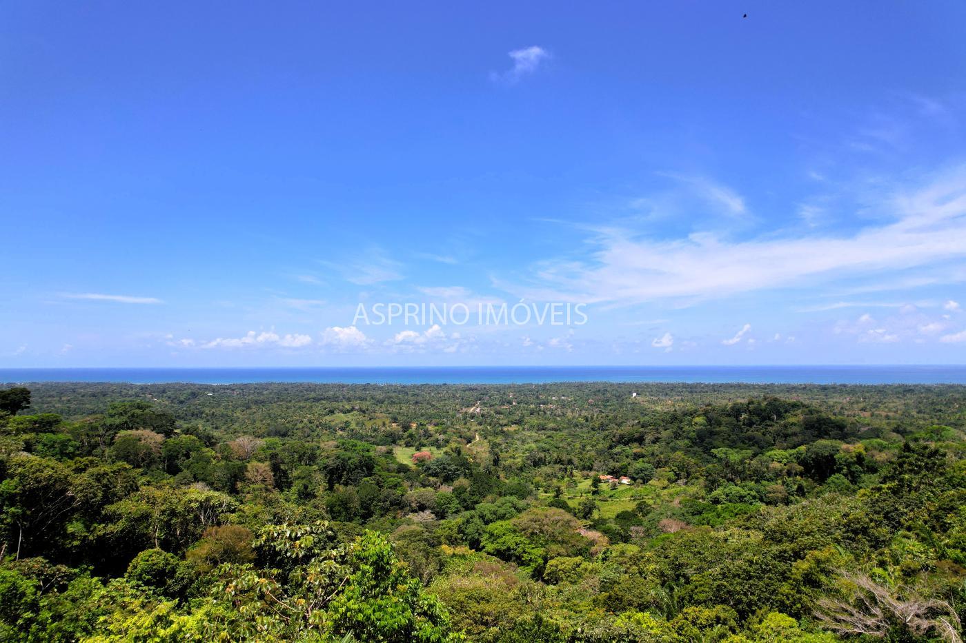 Sítio, 1 quarto, 10 hectares - Foto 14