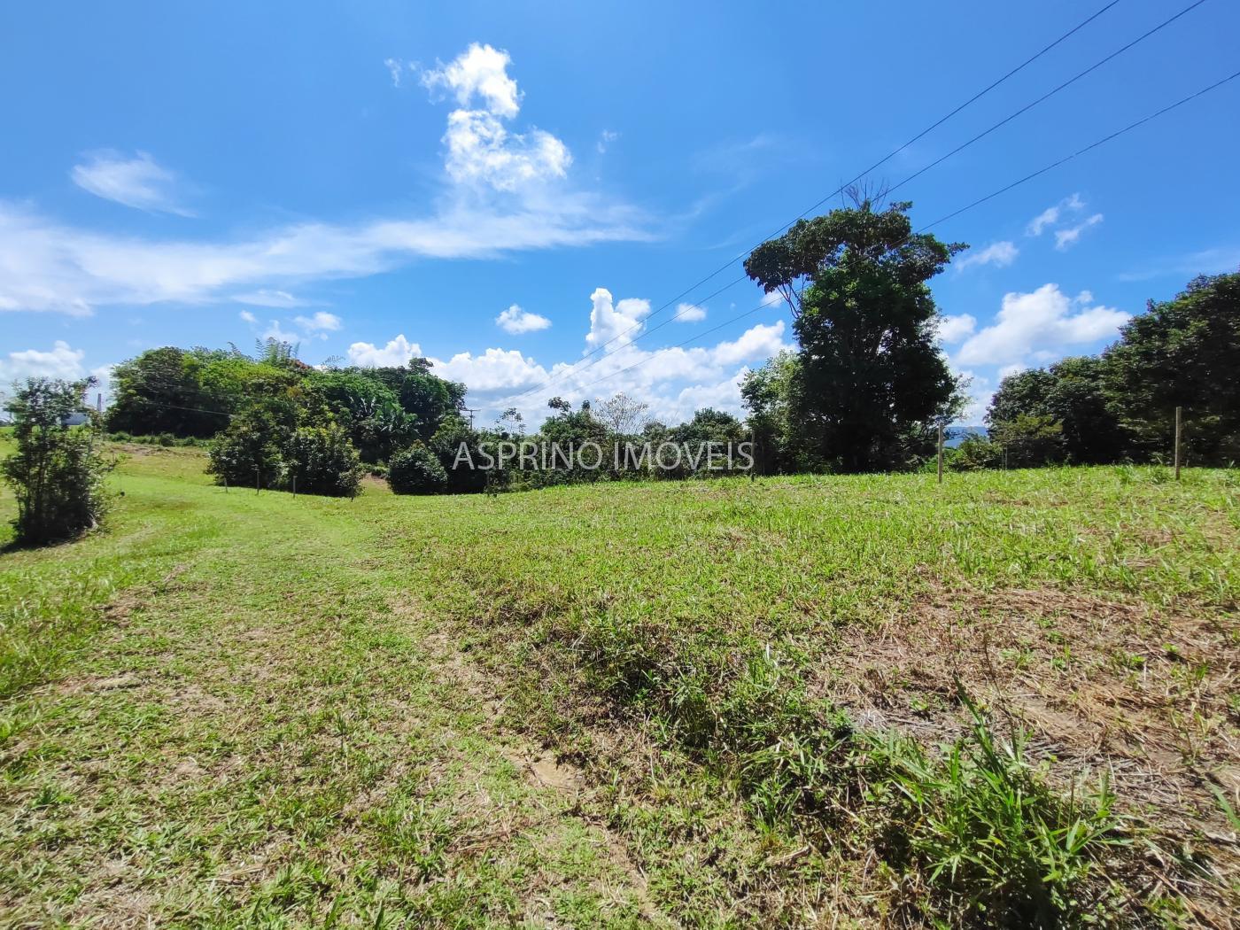 Terreno, 2 hectares - Foto 19