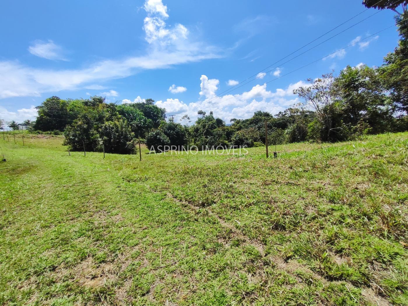 Terreno, 2 hectares - Foto 20