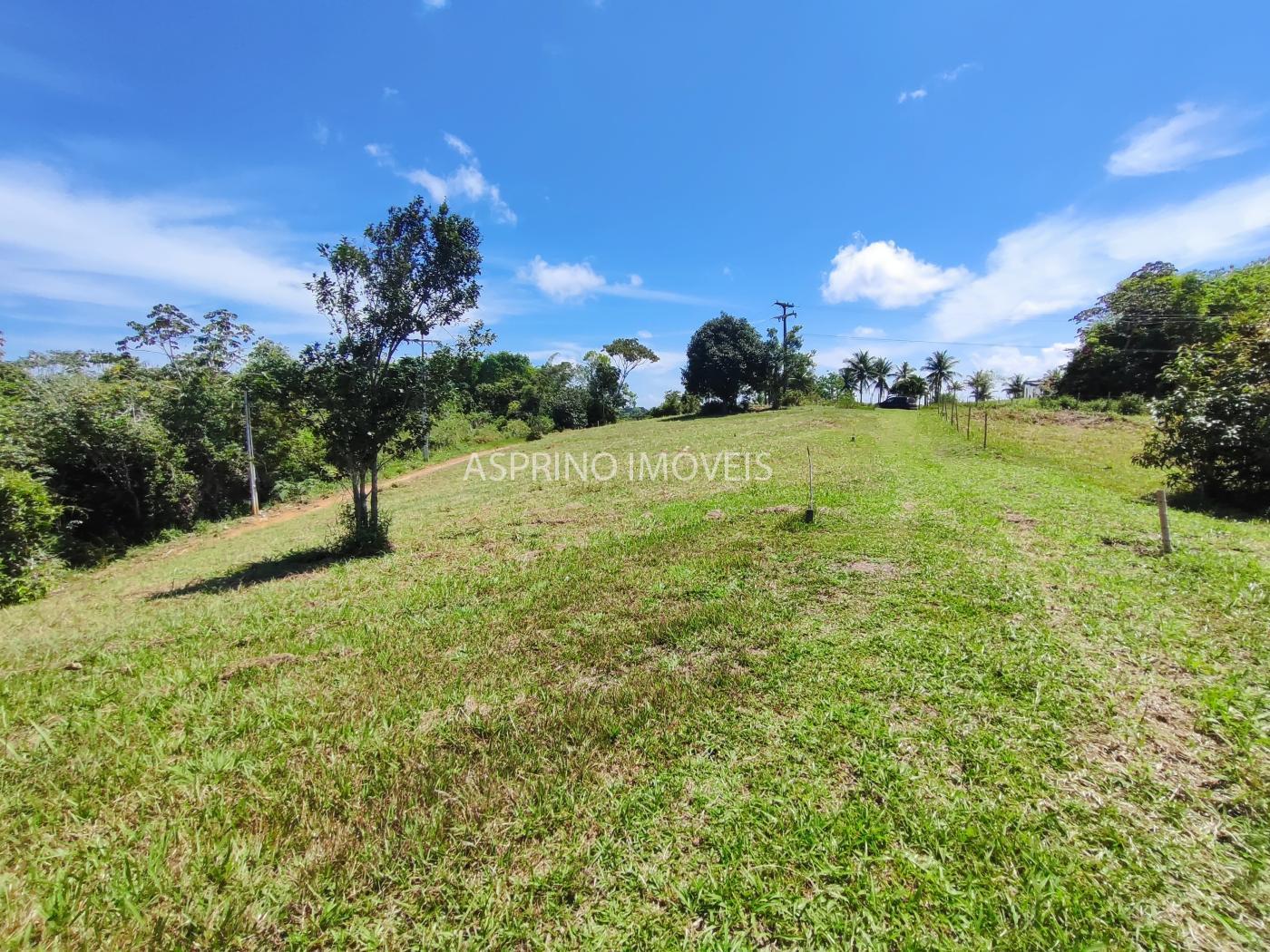 Terreno, 2 hectares - Foto 11