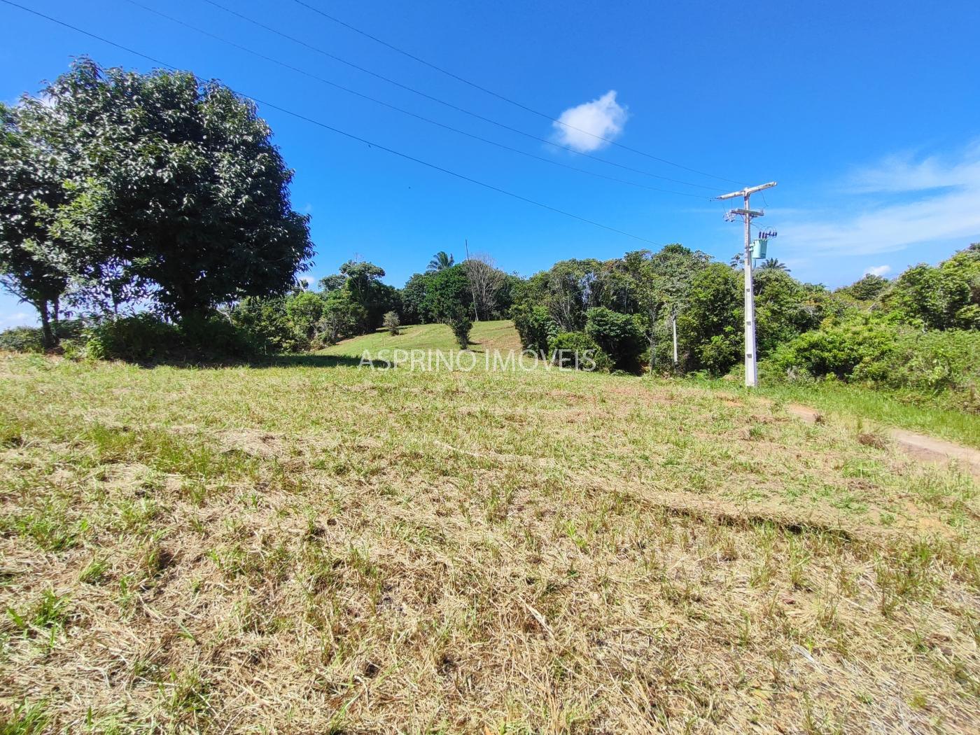 Terreno, 2 hectares - Foto 17