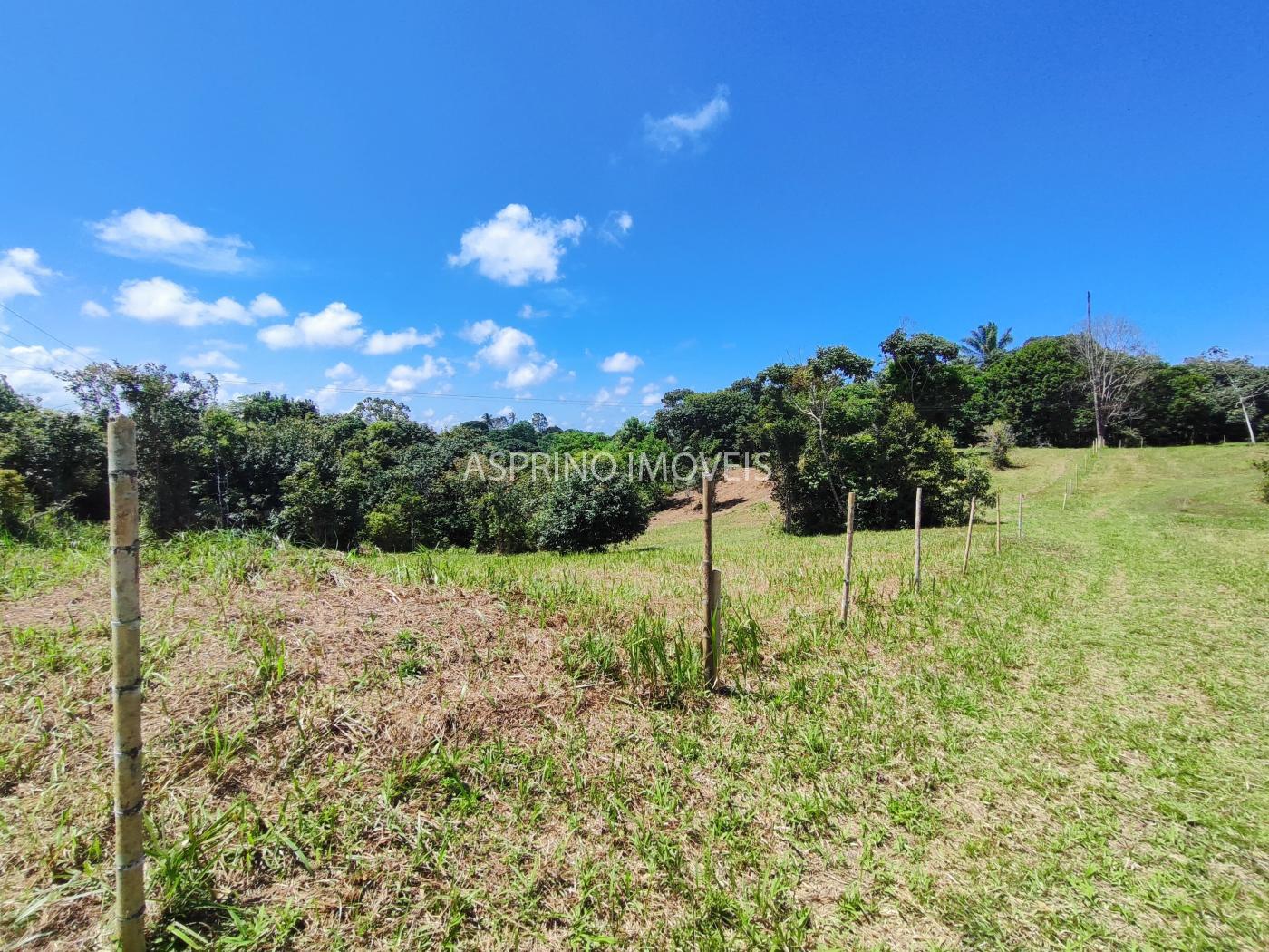 Terreno, 2 hectares - Foto 21