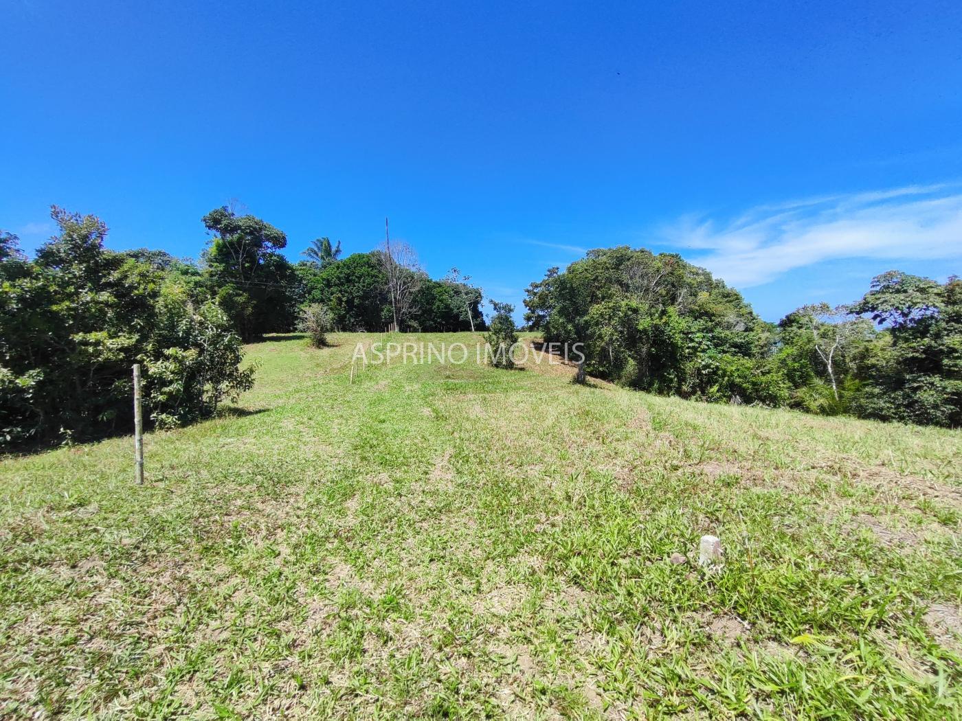 Terreno, 2 hectares - Foto 10