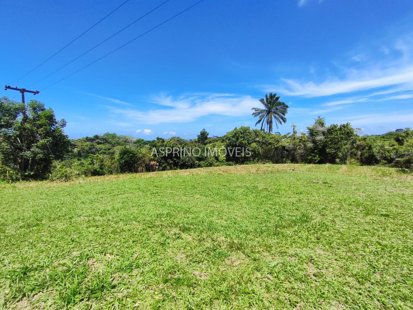 Terreno, 2 hectares - Foto 12