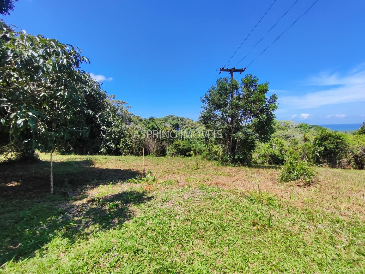 Terreno, 2 hectares - Foto 16