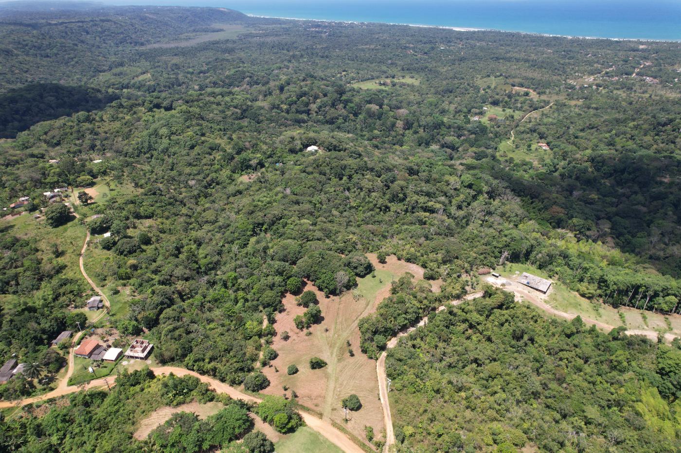 Terreno, 2 hectares - Foto 8