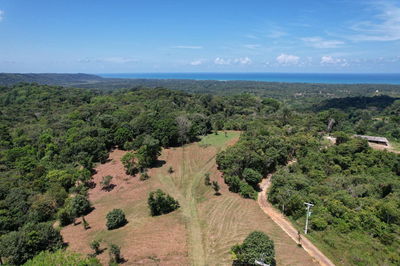 Terreno, 2 hectares - Foto 5