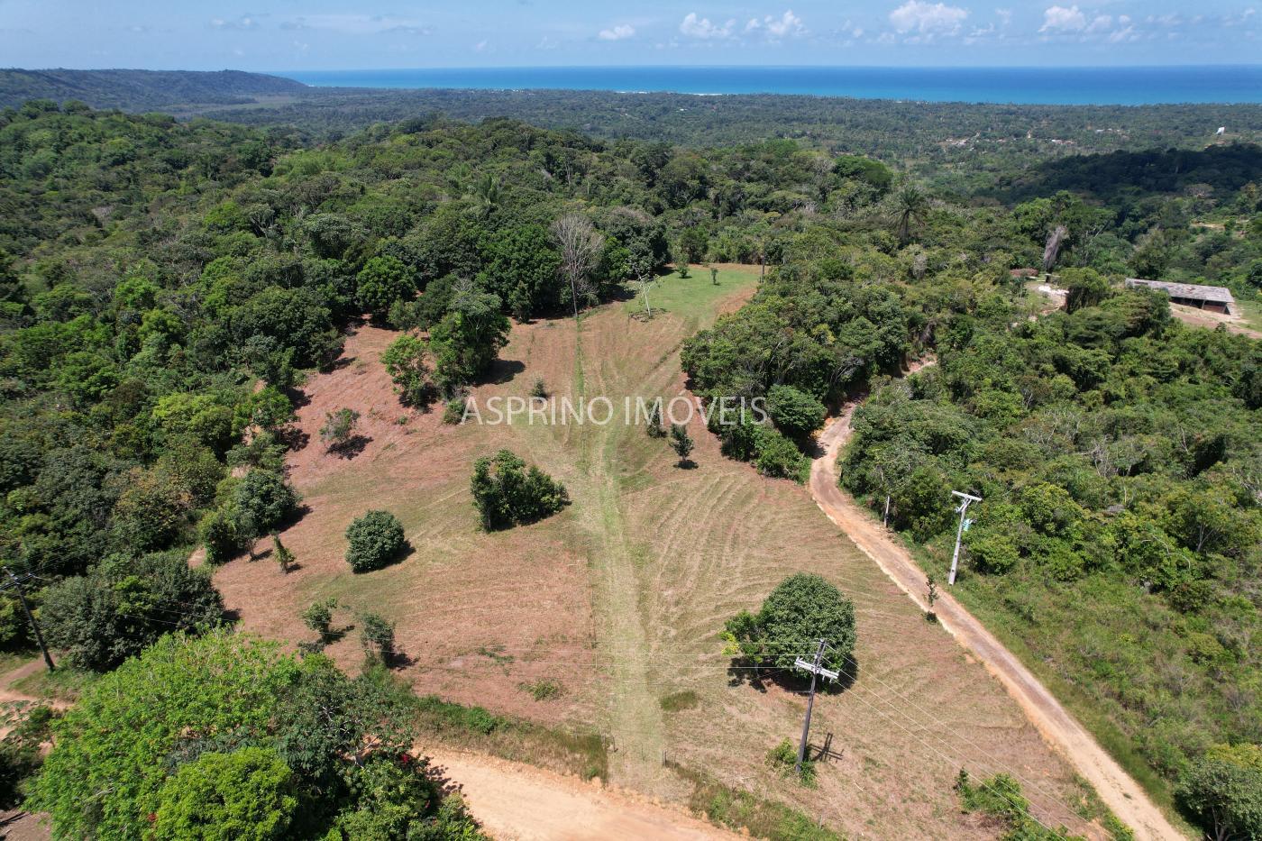 Terreno, 2 hectares - Foto 4