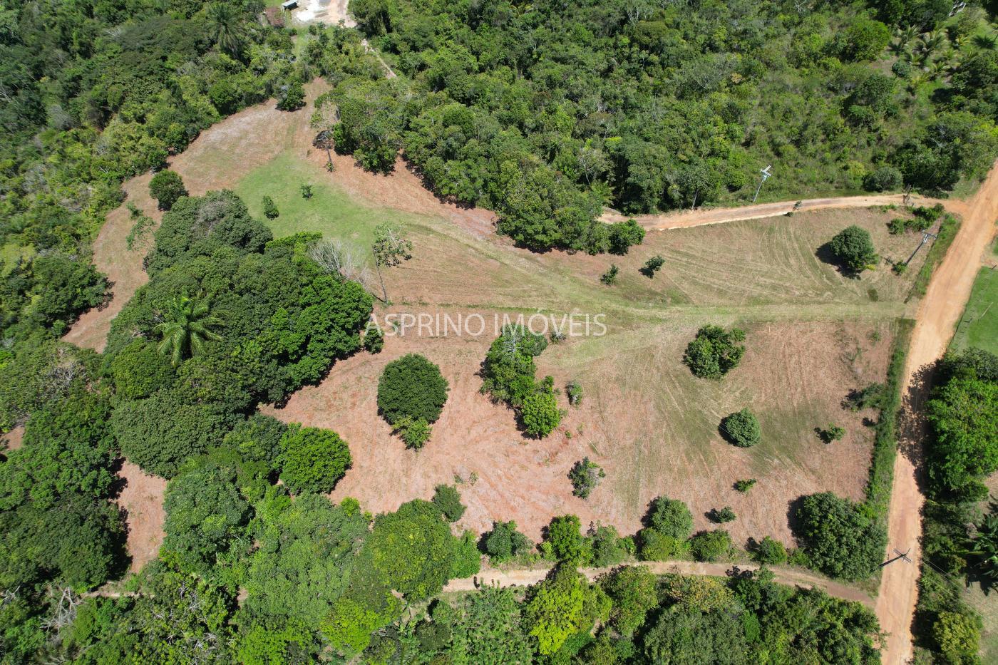 Terreno, 2 hectares - Foto 6