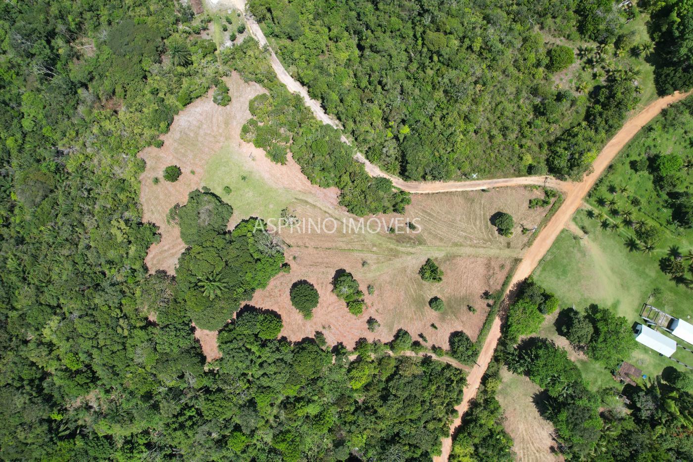 Terreno, 2 hectares - Foto 7