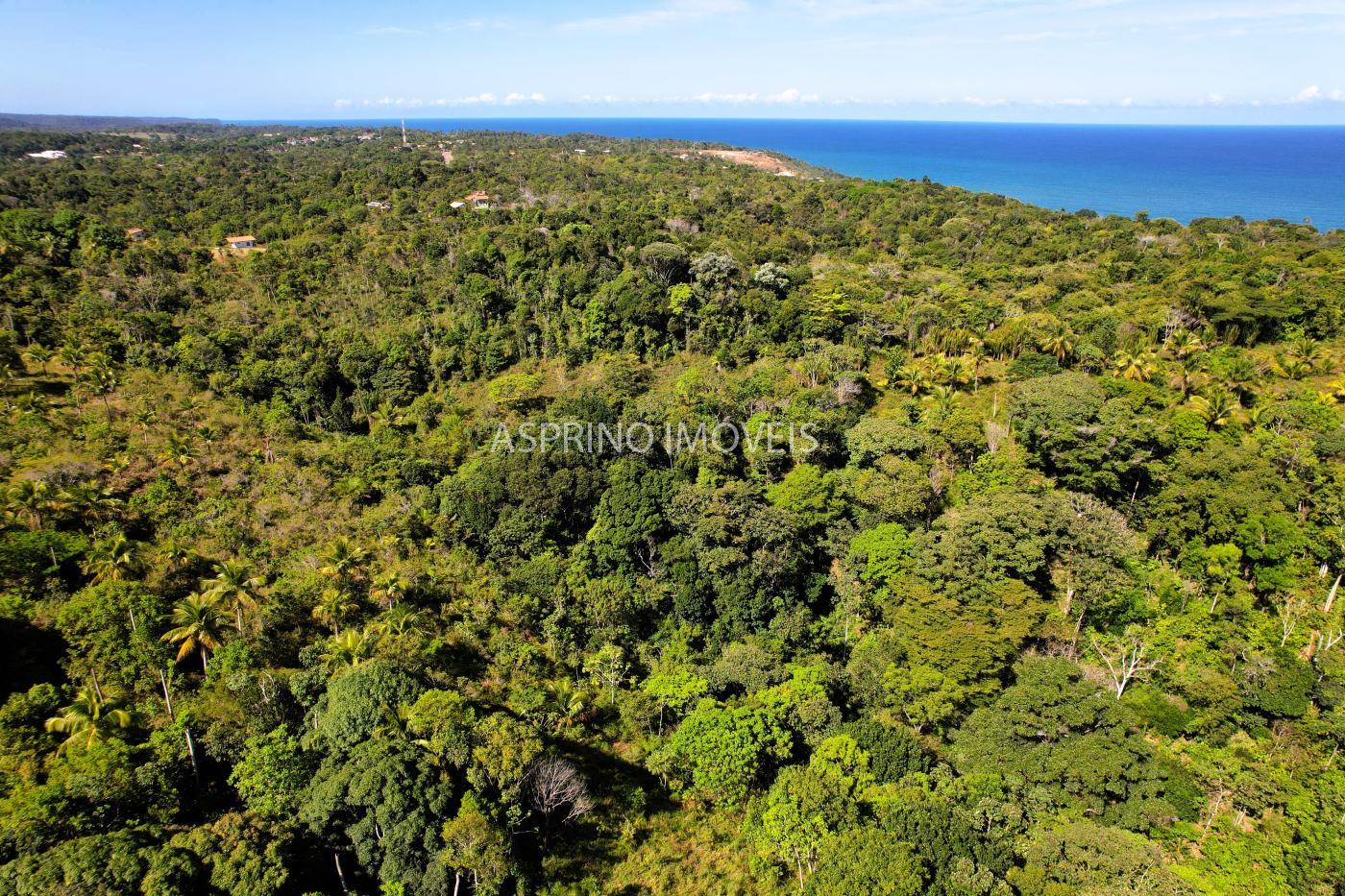 Terreno à venda, 78000m² - Foto 9