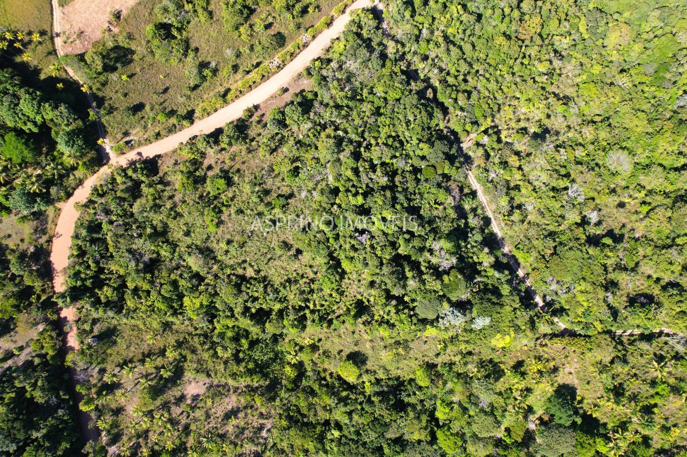 Terreno à venda, 78000m² - Foto 8