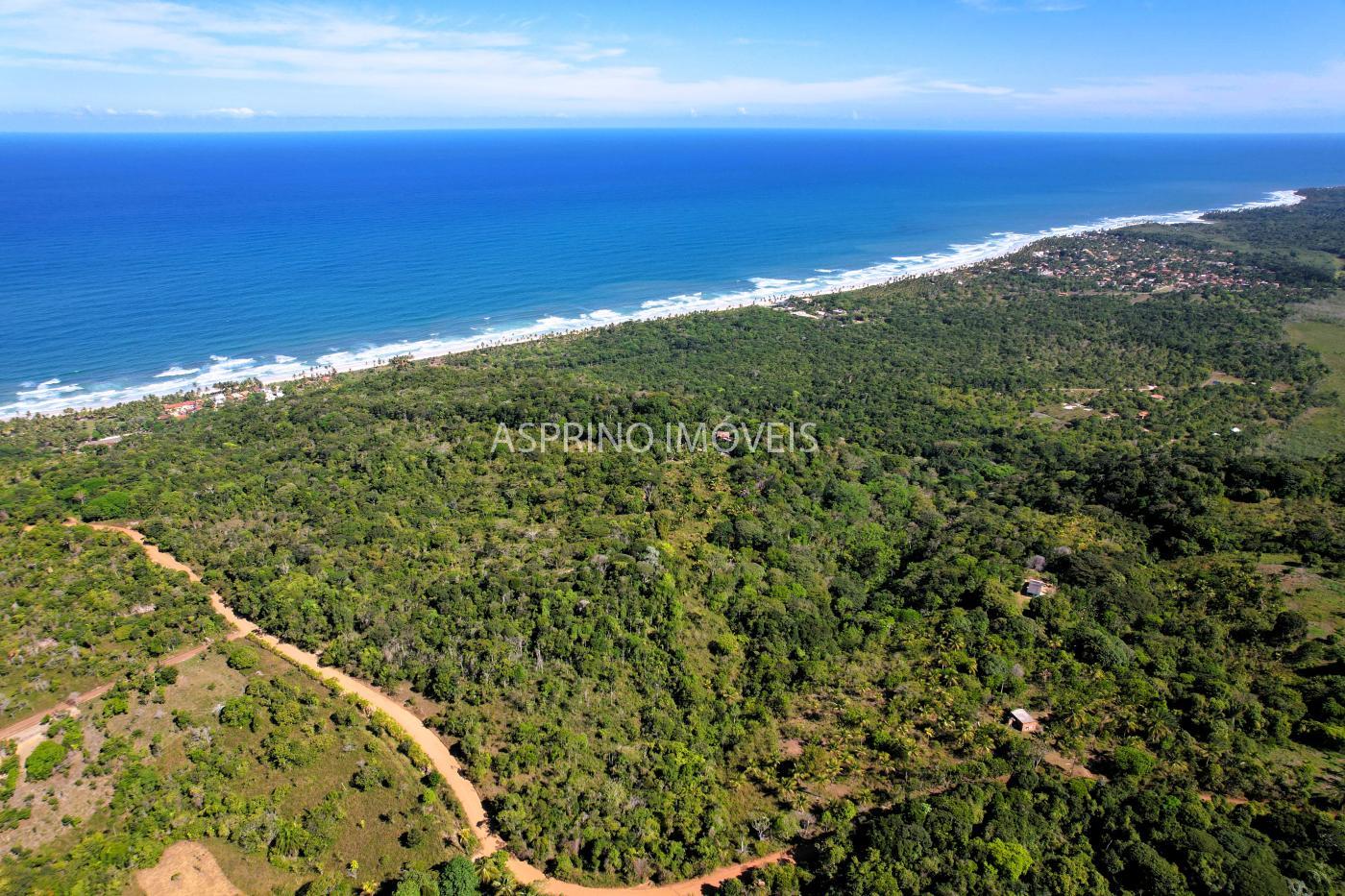Terreno à venda, 78000m² - Foto 11