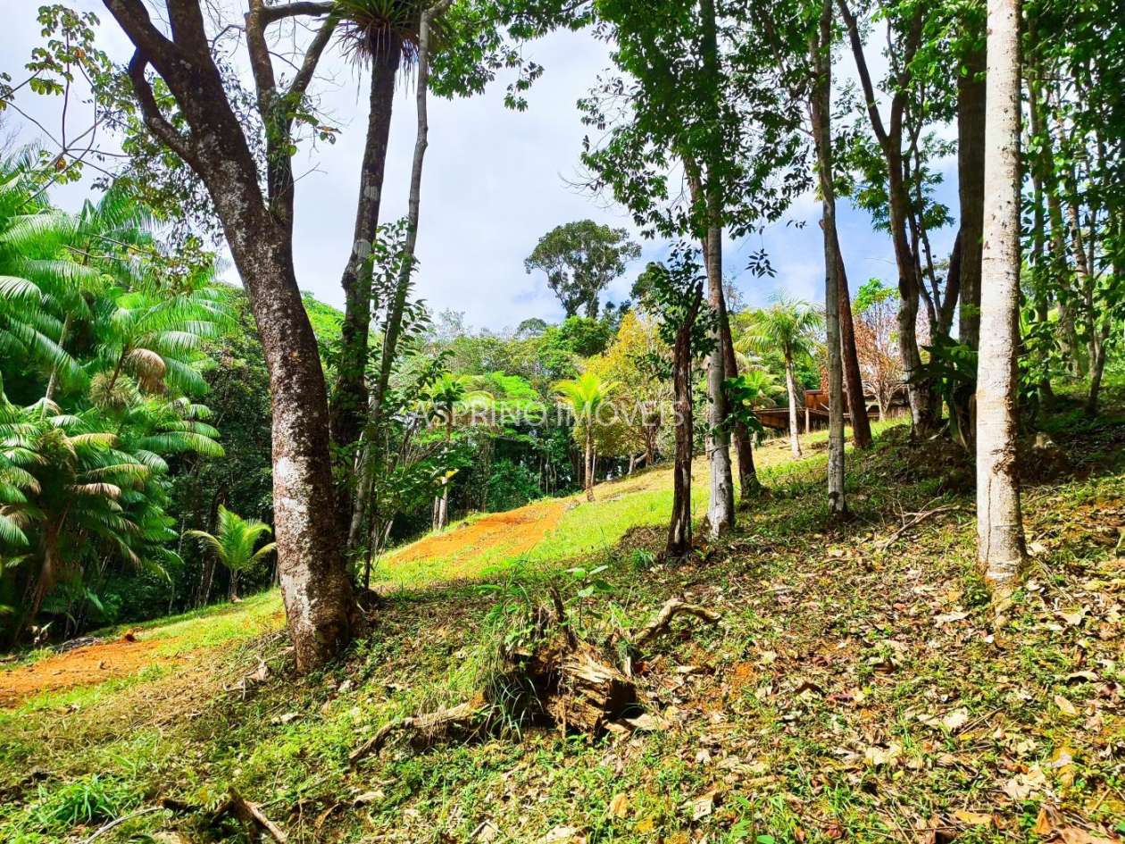 Chácara, 5 quartos, 18 hectares - Foto 13