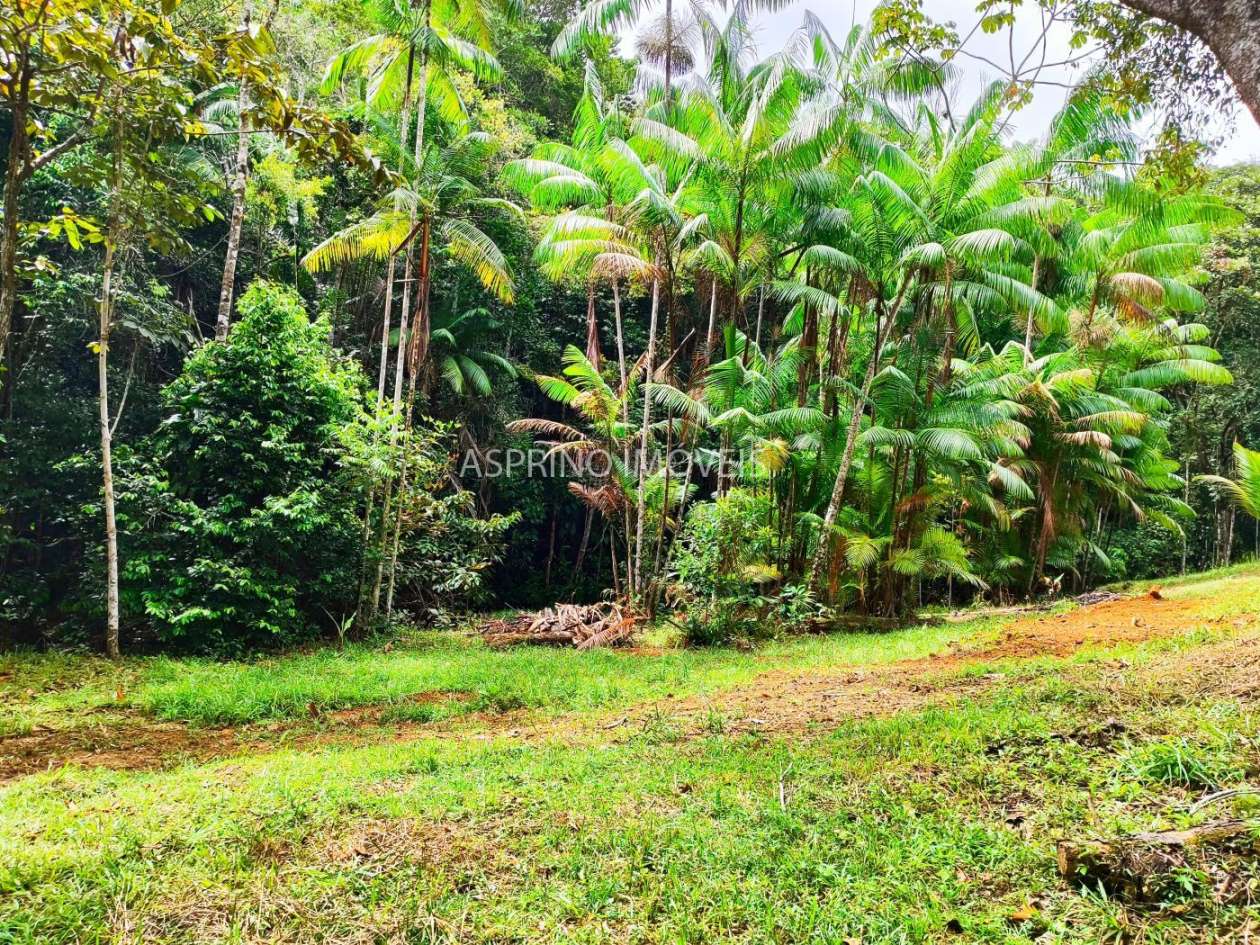 Chácara, 5 quartos, 18 hectares - Foto 15