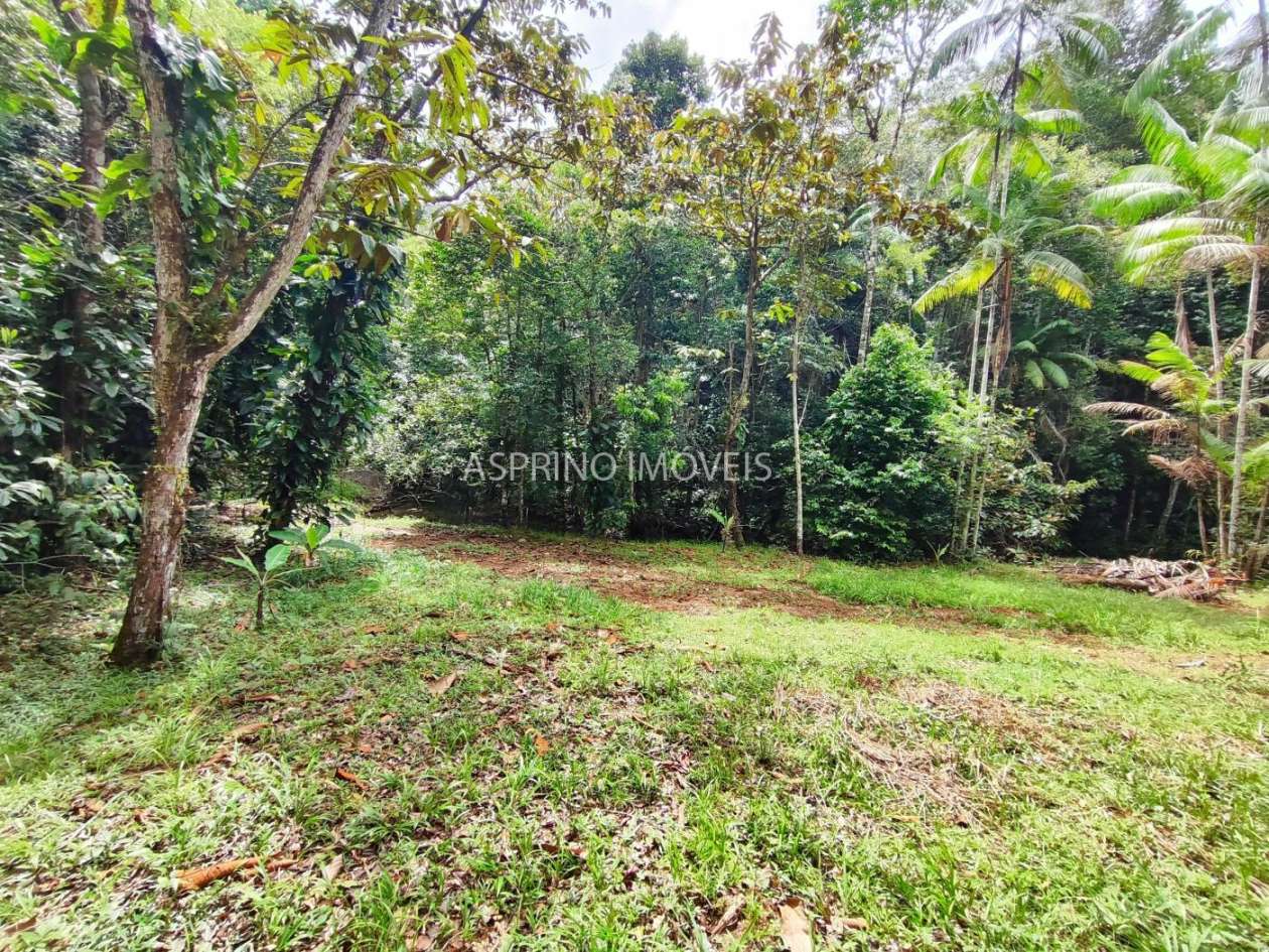 Chácara, 5 quartos, 18 hectares - Foto 14