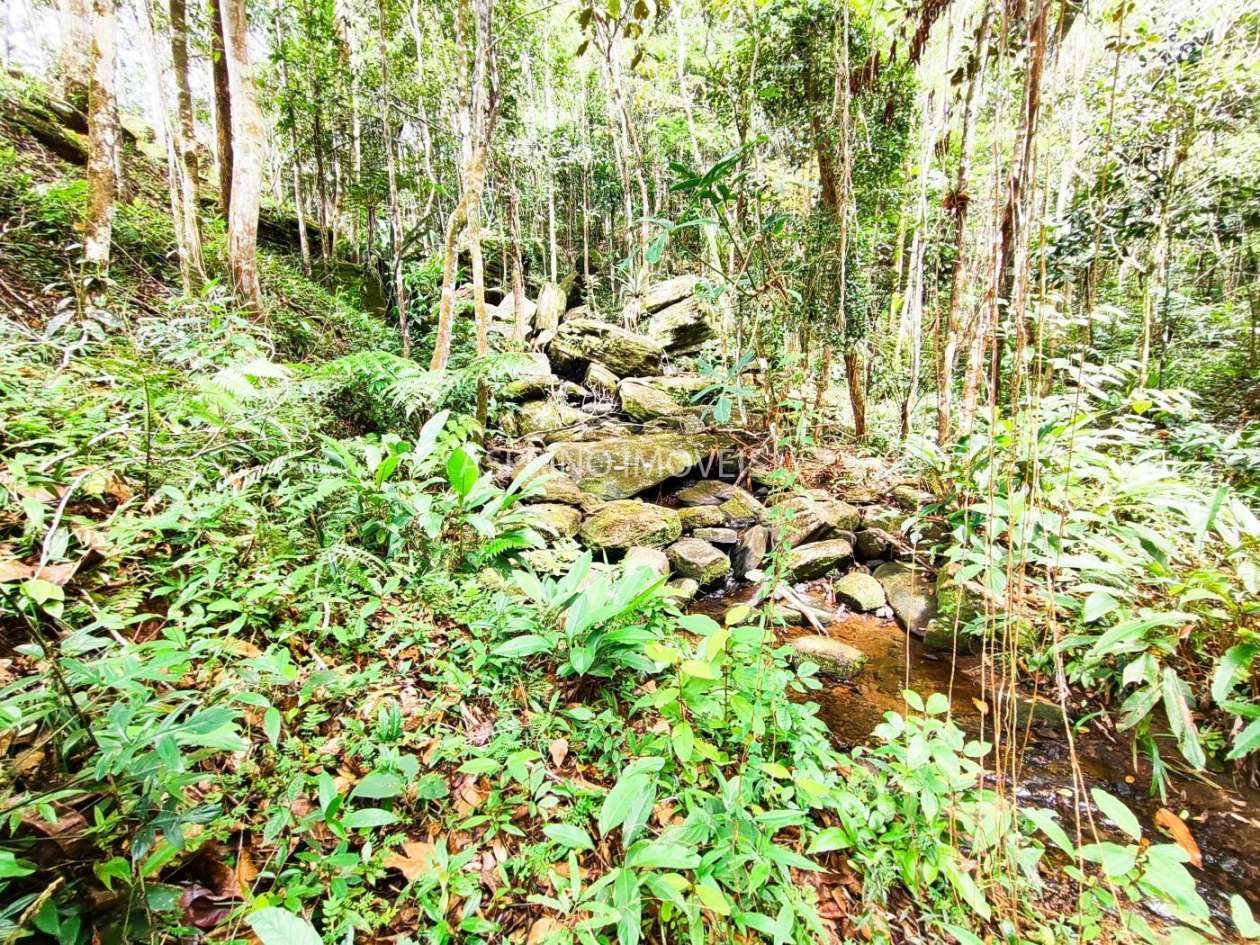 Chácara, 5 quartos, 18 hectares - Foto 21