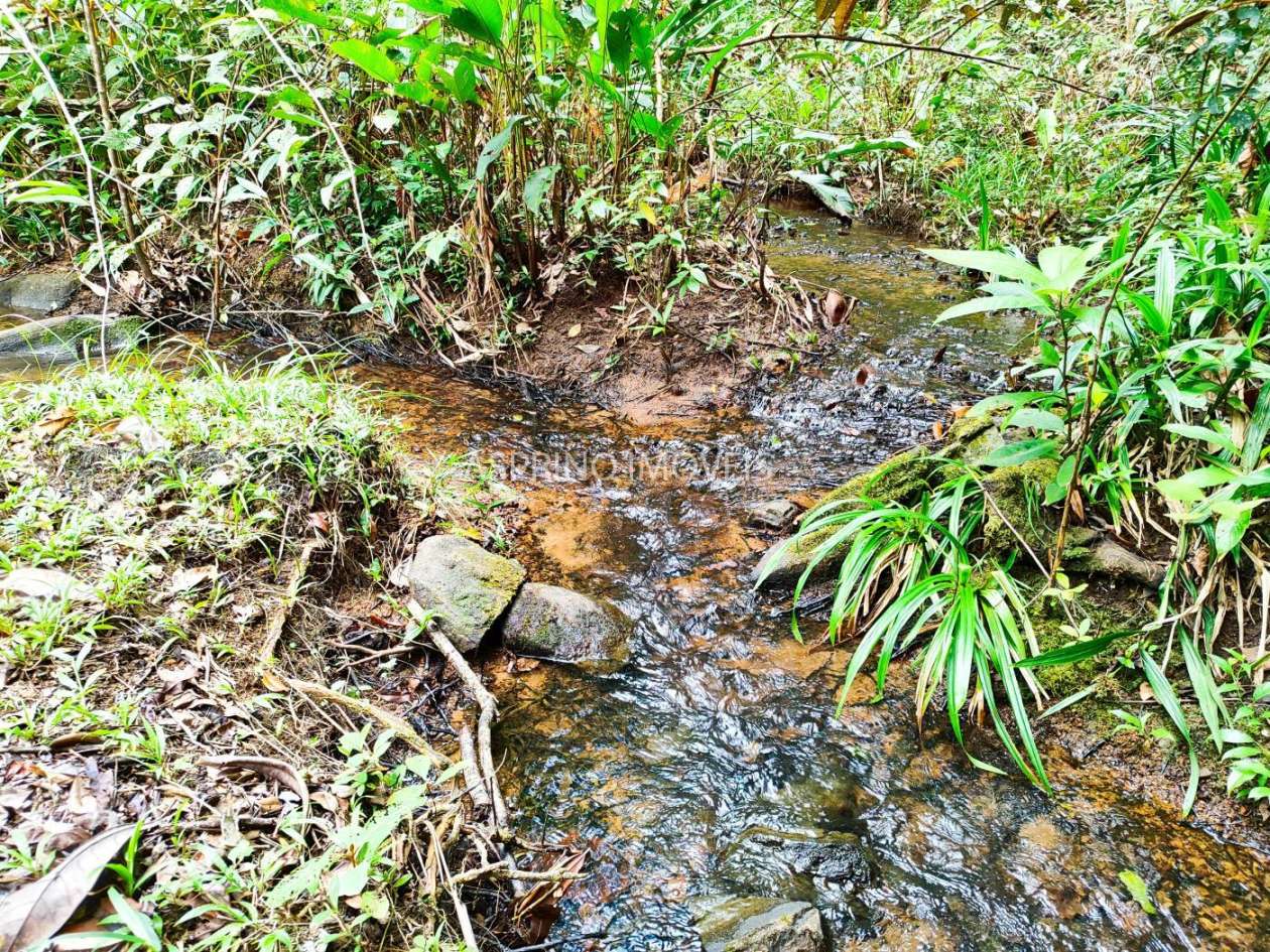 Chácara, 5 quartos, 18 hectares - Foto 23