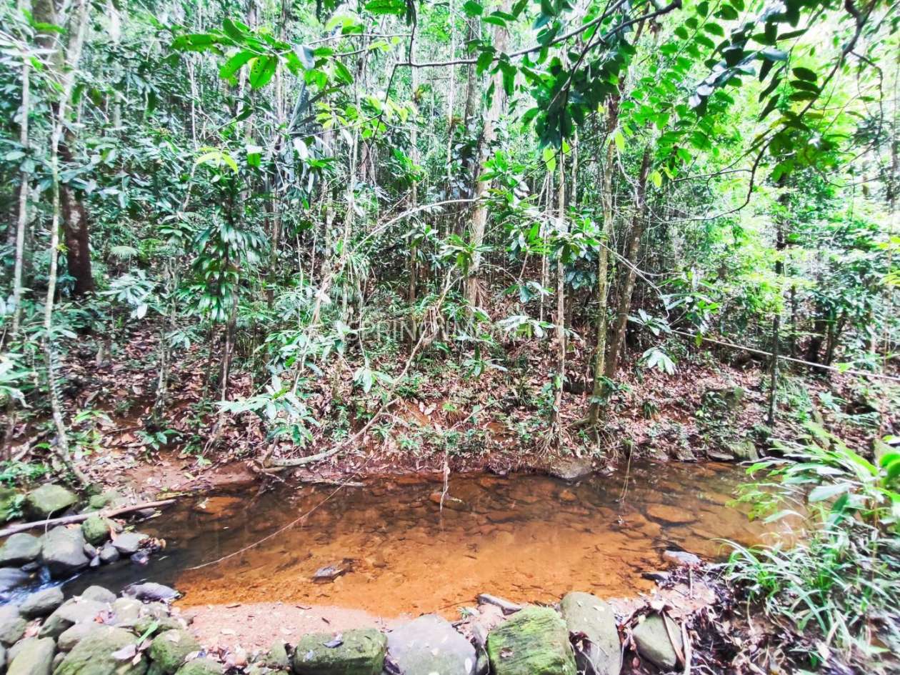 Chácara, 5 quartos, 18 hectares - Foto 29