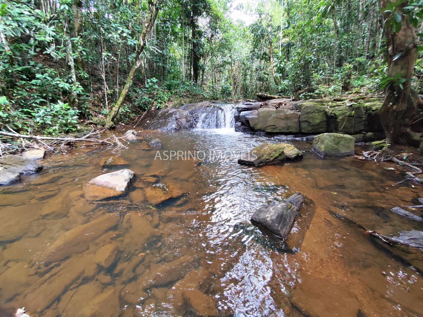 Chácara, 5 quartos, 18 hectares - Foto 25