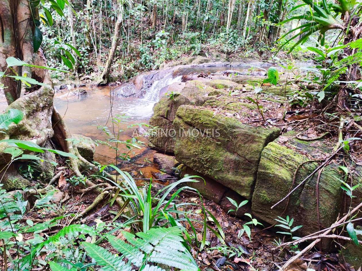 Chácara, 5 quartos, 18 hectares - Foto 26