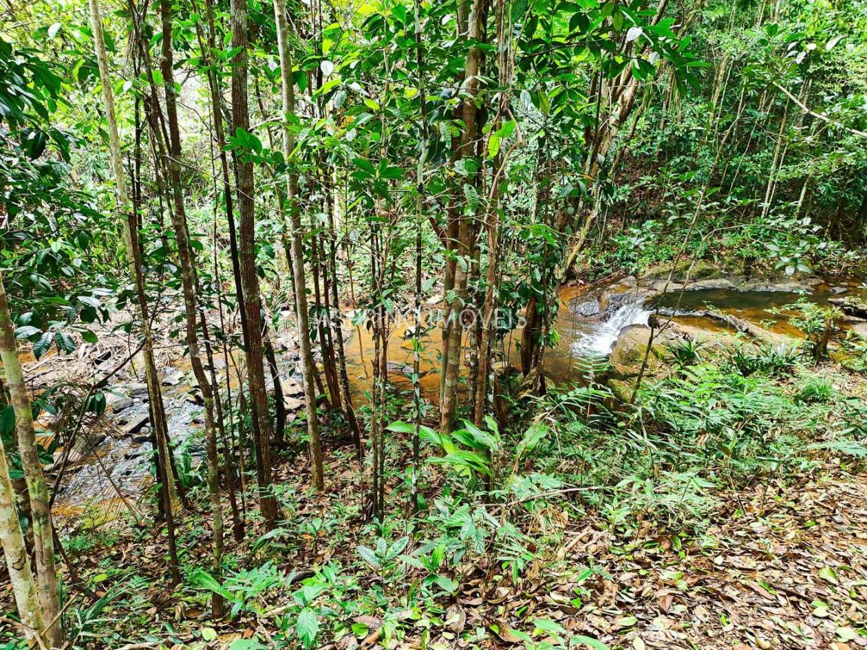 Chácara, 5 quartos, 18 hectares - Foto 30