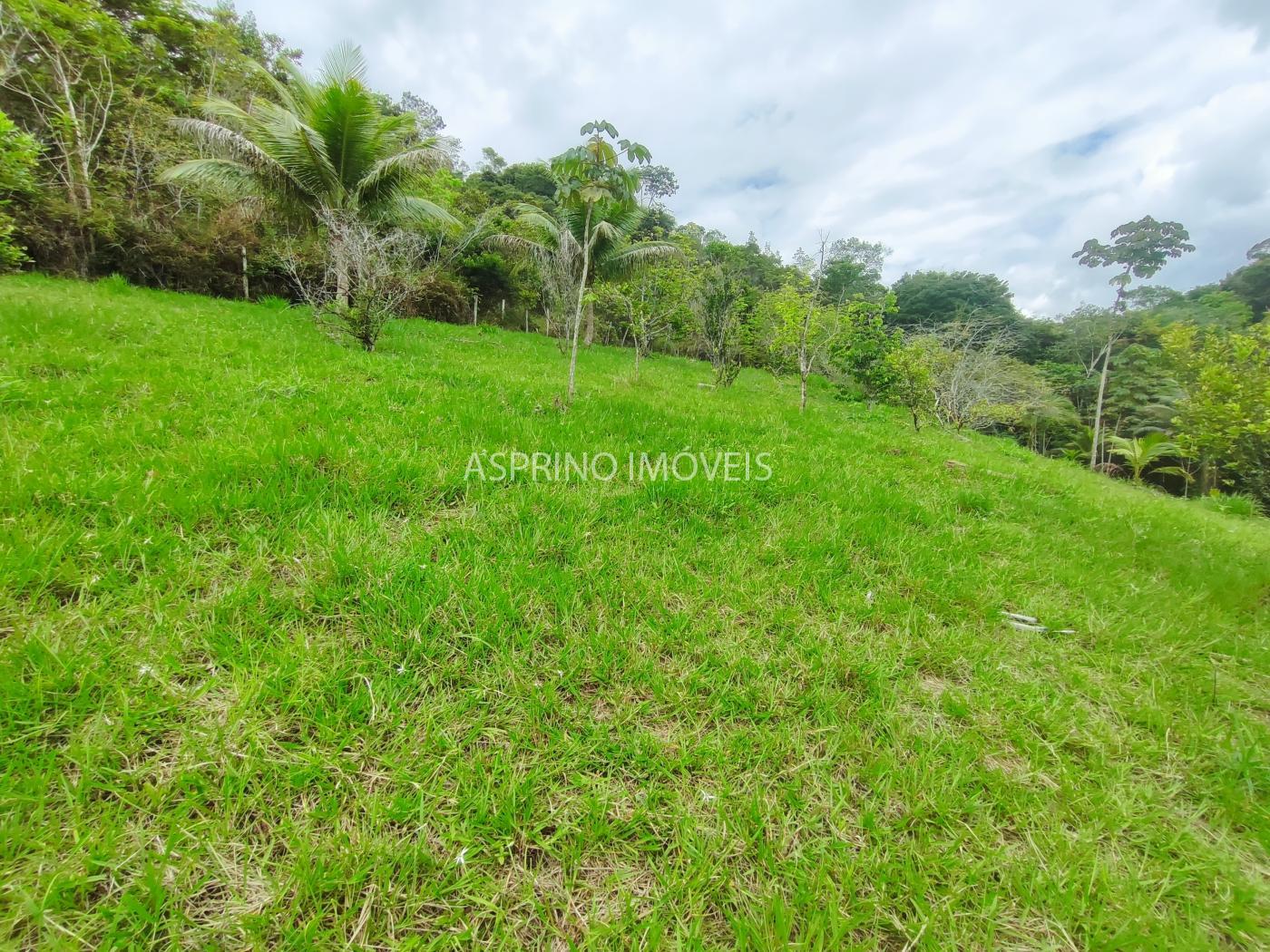 Chácara, 5 quartos, 18 hectares - Foto 34